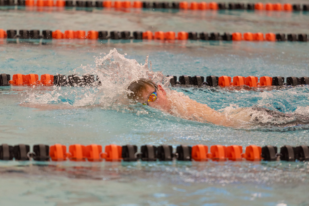 %_tempFileName1M6A6493%