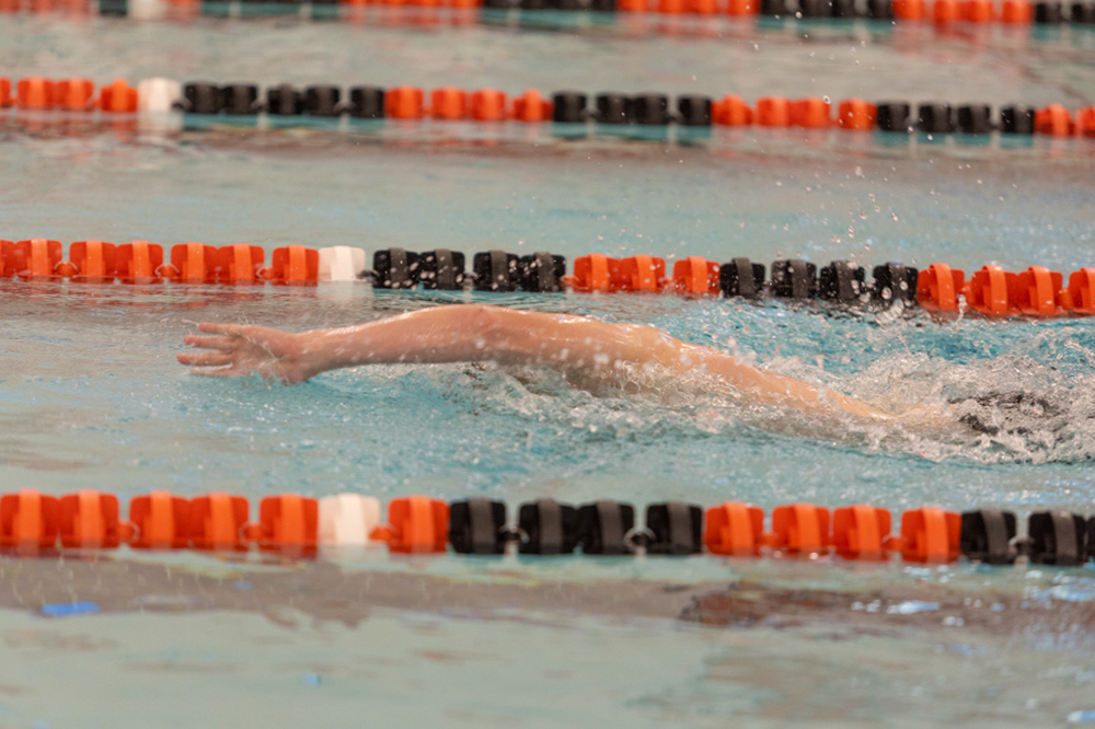 %_tempFileName1M6A6501%