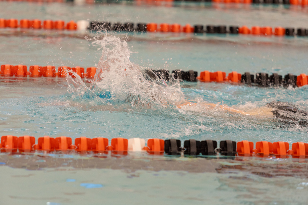 %_tempFileName1M6A6503%