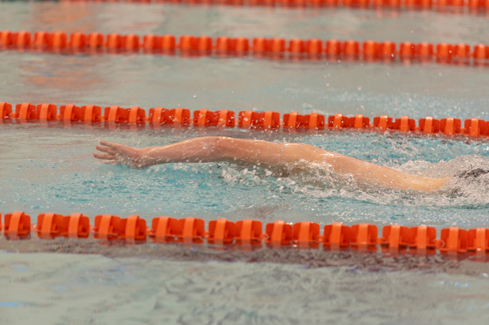 %_tempFileName1M6A6510%