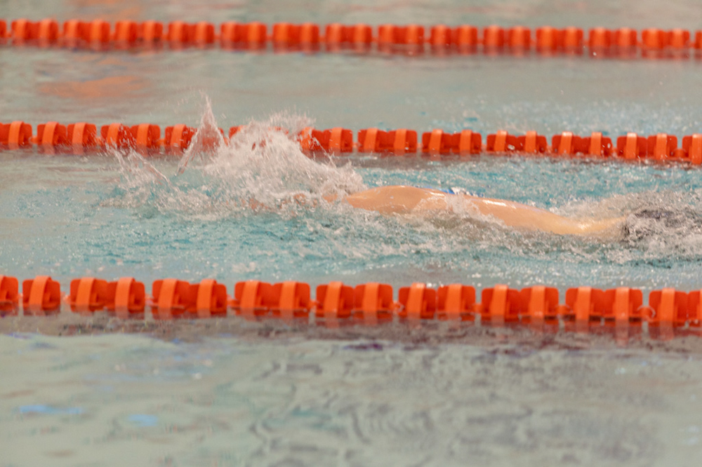 %_tempFileName1M6A6511%