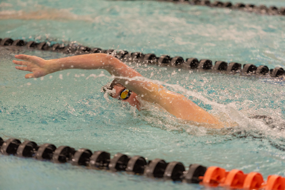 %_tempFileName1M6A6515%