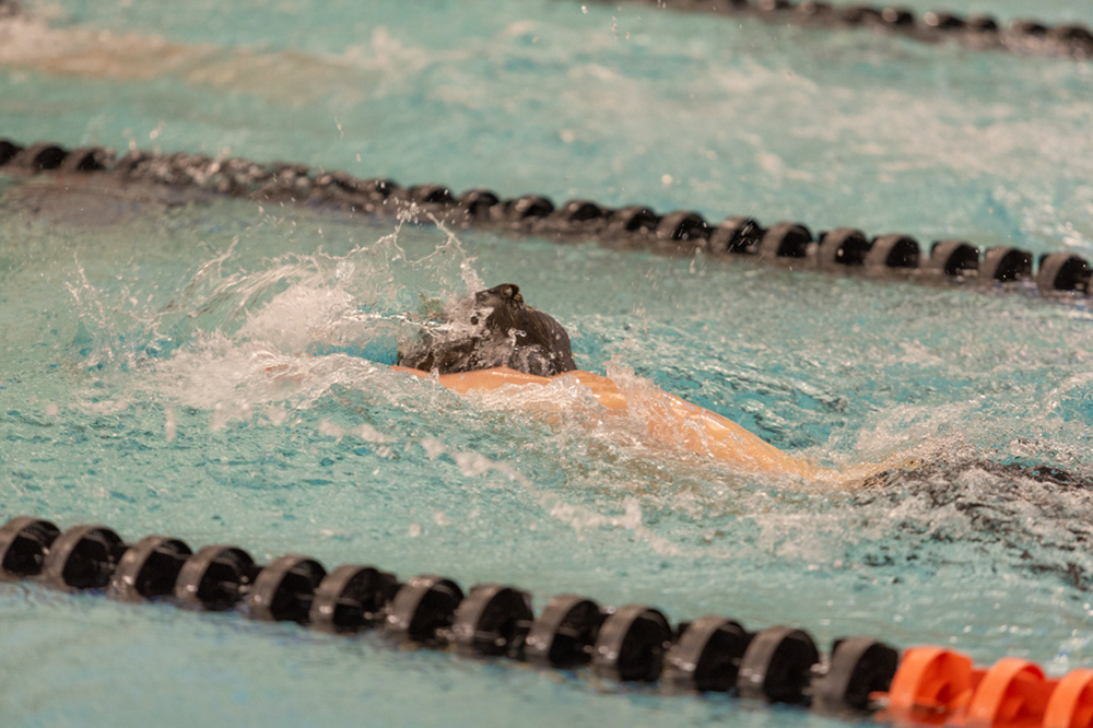 %_tempFileName1M6A6517%