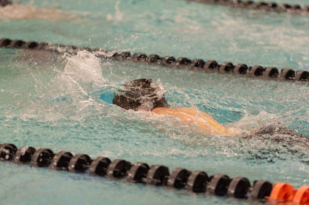 %_tempFileName1M6A6518%