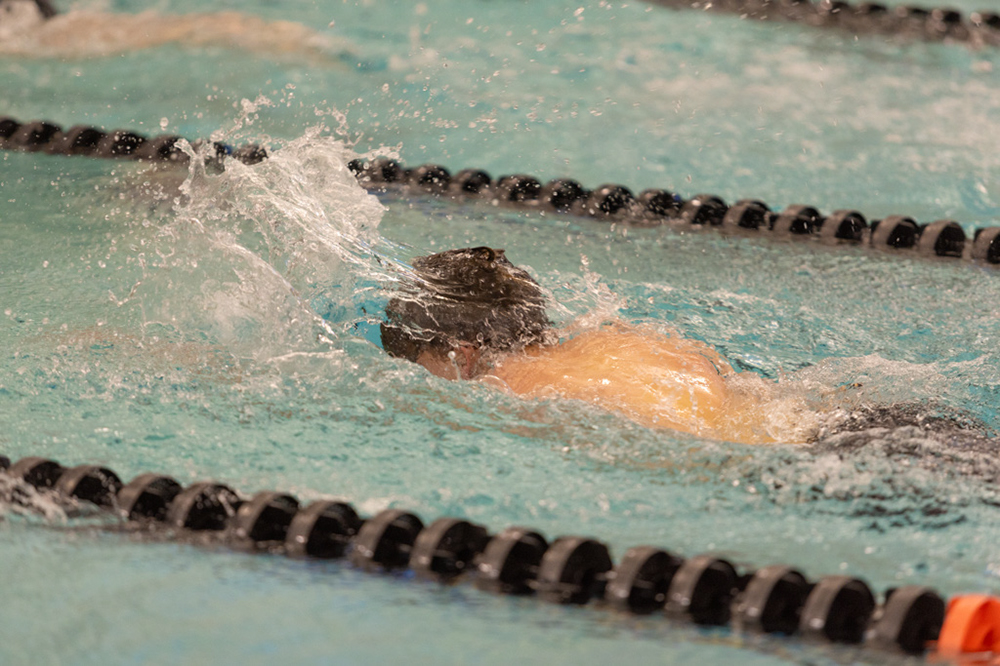 %_tempFileName1M6A6519%