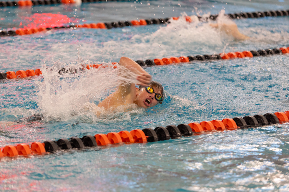 %_tempFileName1M6A6524%