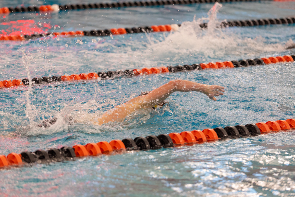 %_tempFileName1M6A6526%