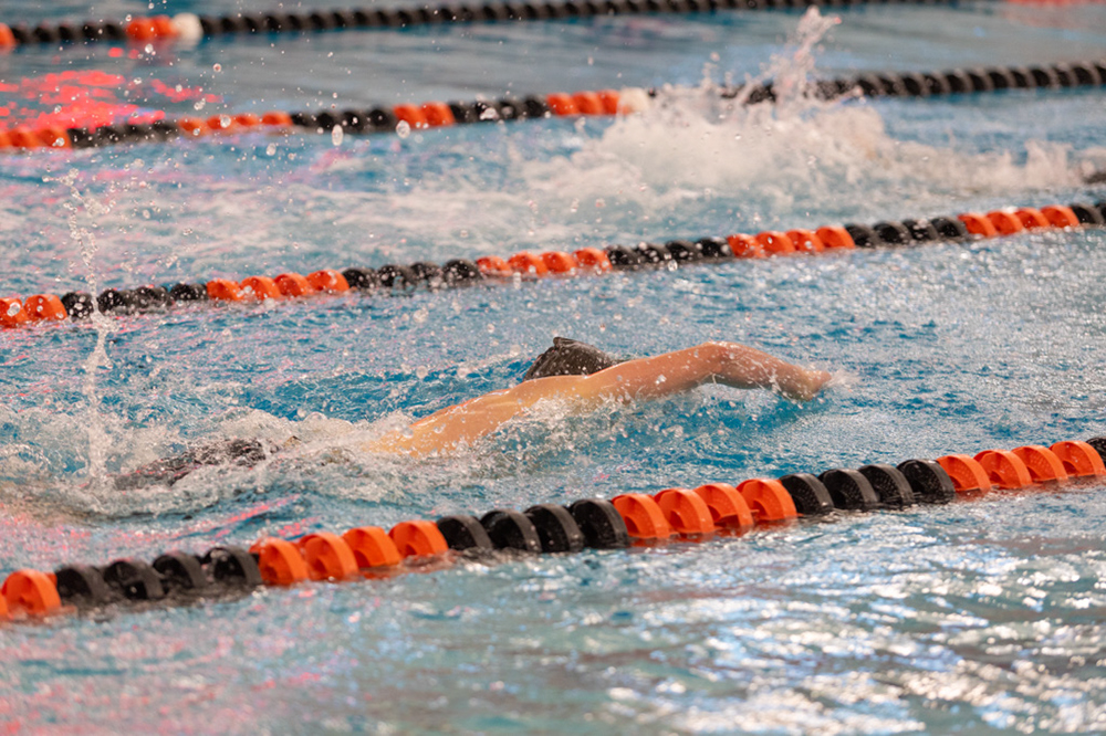 %_tempFileName1M6A6527%