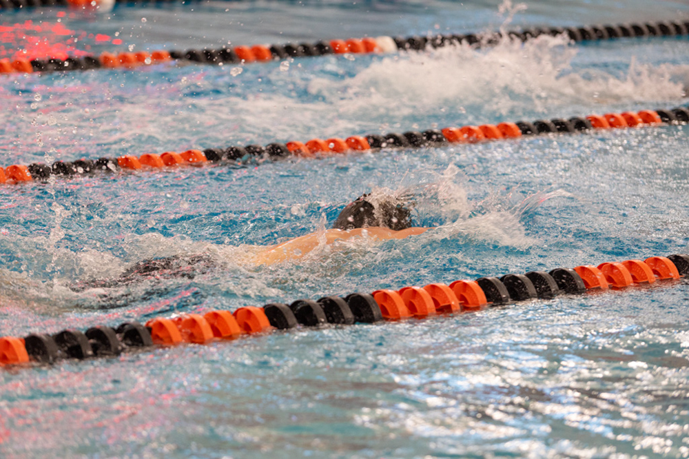 %_tempFileName1M6A6528%