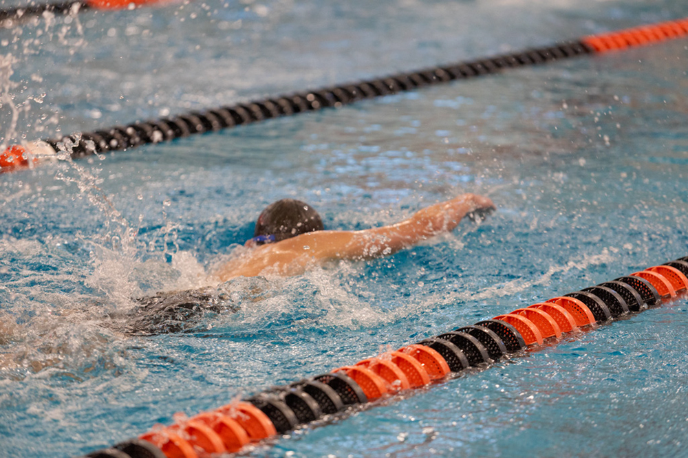 %_tempFileName1M6A6530%