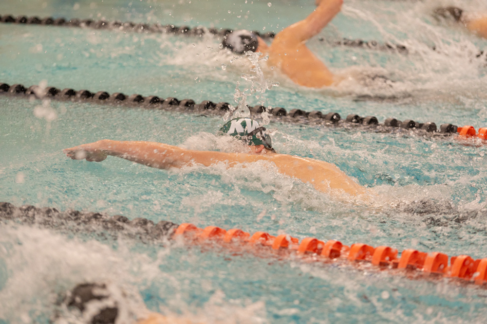 %_tempFileName1M6A6536%