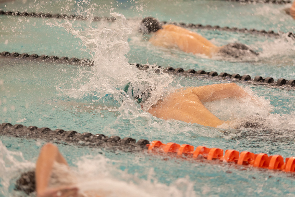 %_tempFileName1M6A6539%