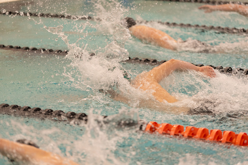 %_tempFileName1M6A6541%