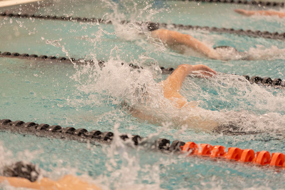 %_tempFileName1M6A6542%