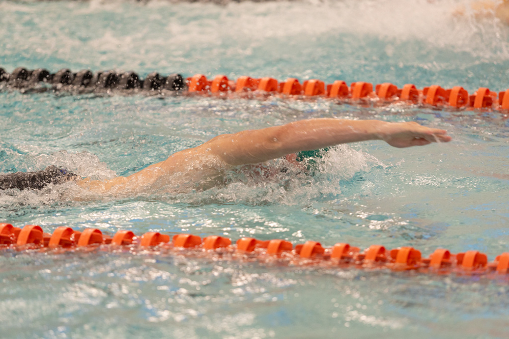 %_tempFileName1M6A6551%