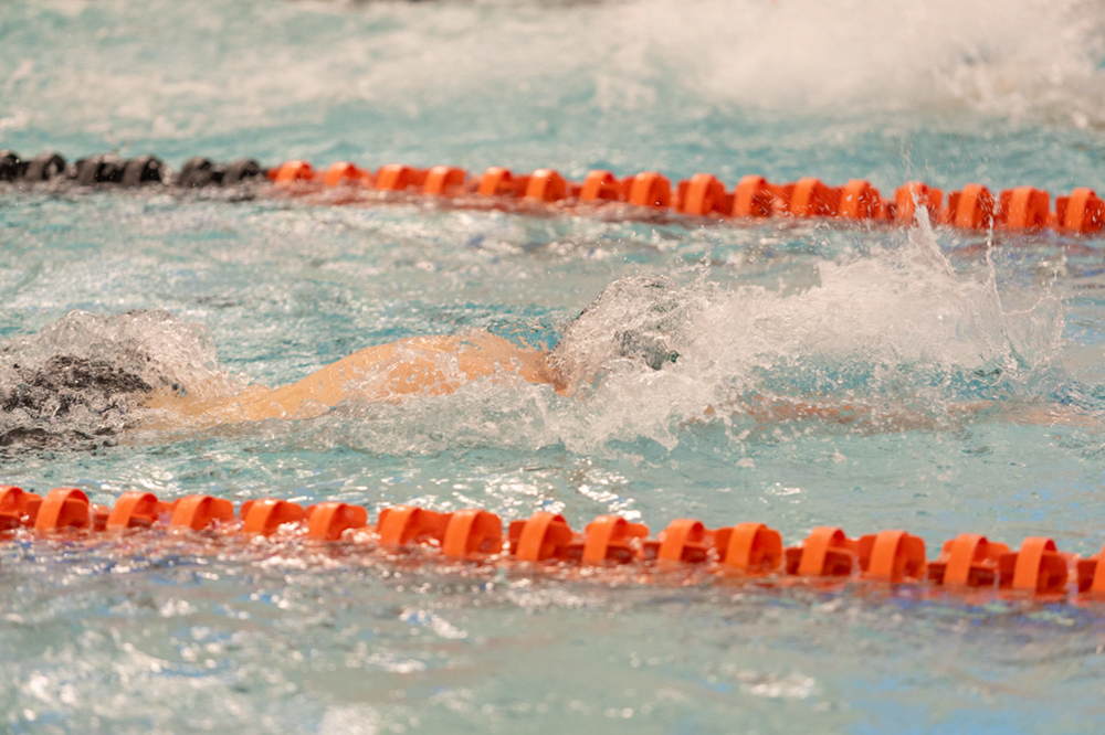 %_tempFileName1M6A6553%