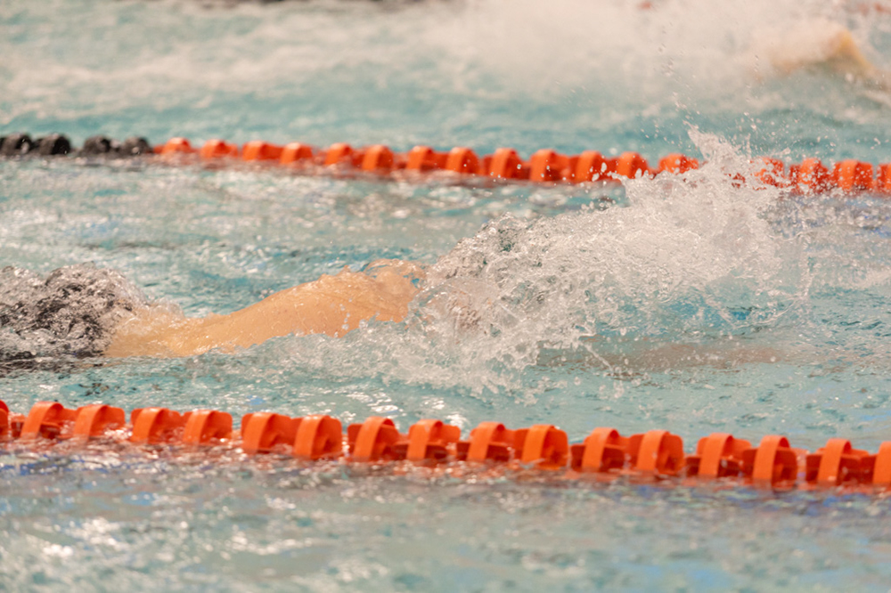 %_tempFileName1M6A6554%