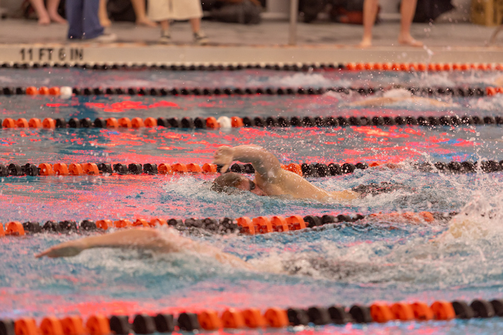 %_tempFileName1M6A6556%