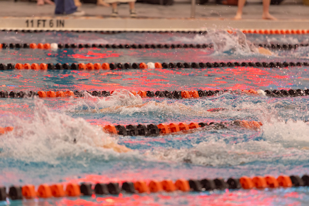 %_tempFileName1M6A6558%