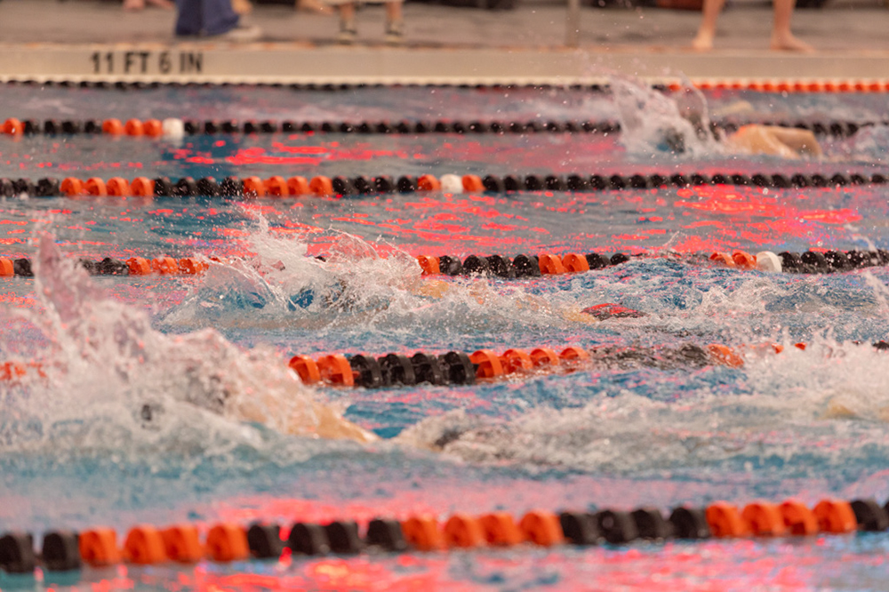 %_tempFileName1M6A6559%