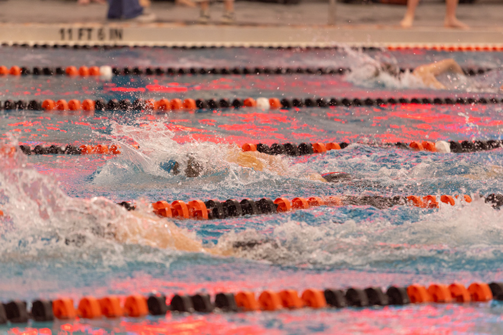 %_tempFileName1M6A6560%