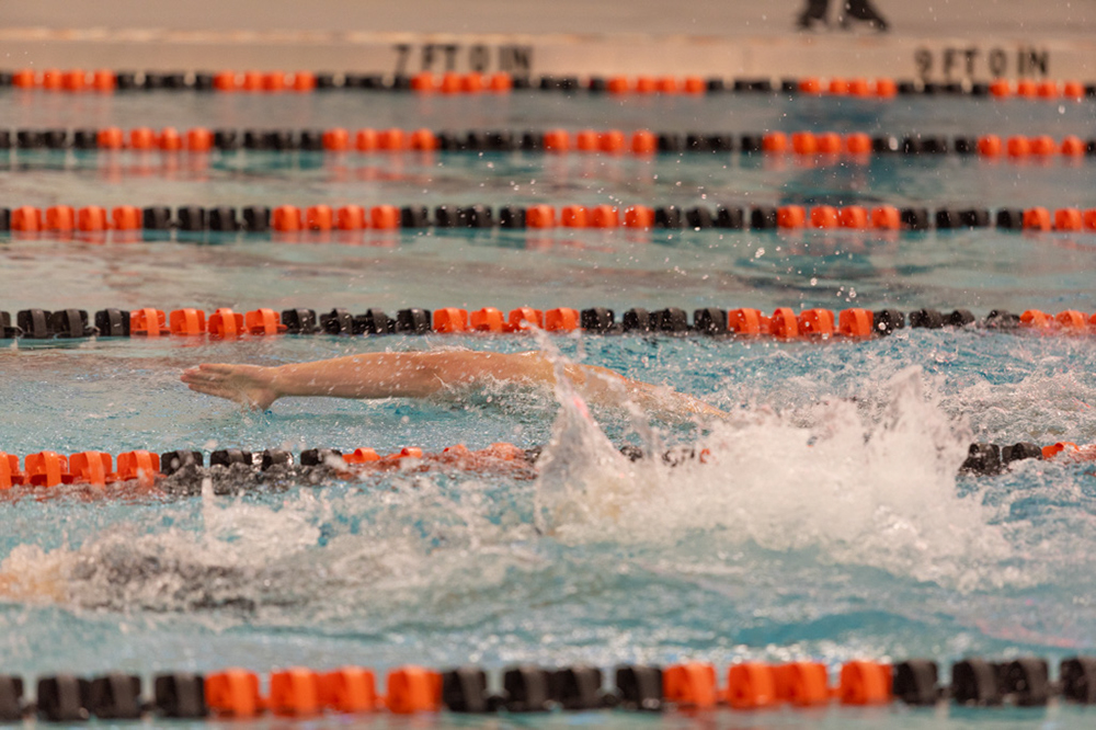 %_tempFileName1M6A6567%