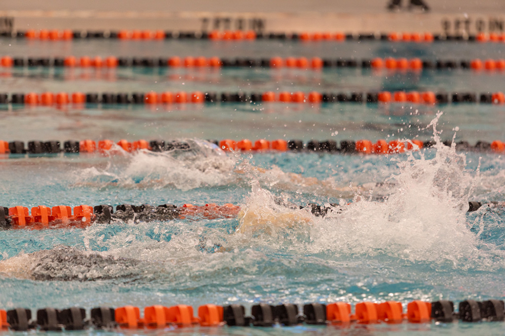 %_tempFileName1M6A6568%