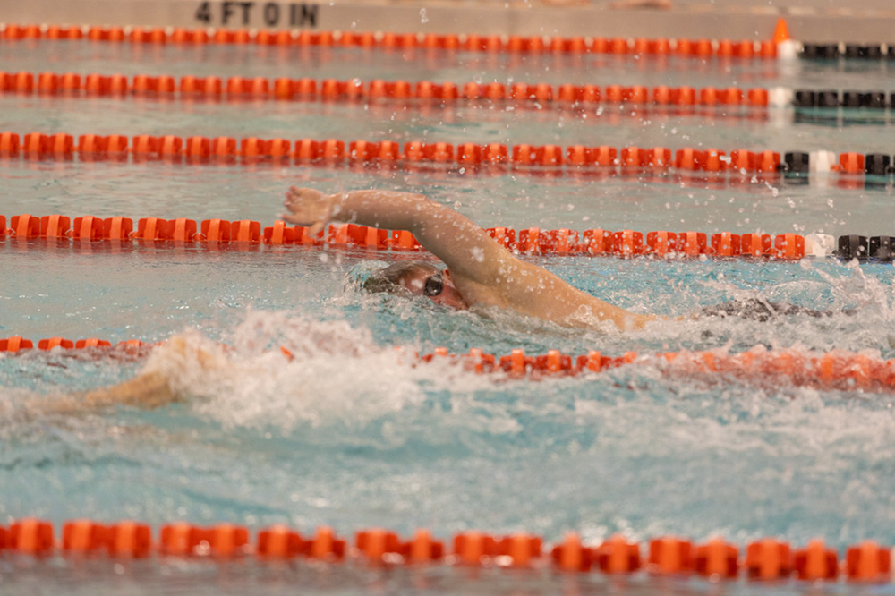 %_tempFileName1M6A6573%