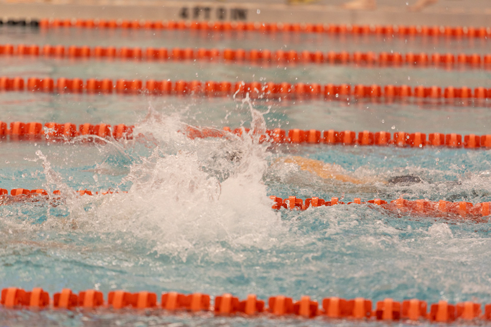 %_tempFileName1M6A6576%