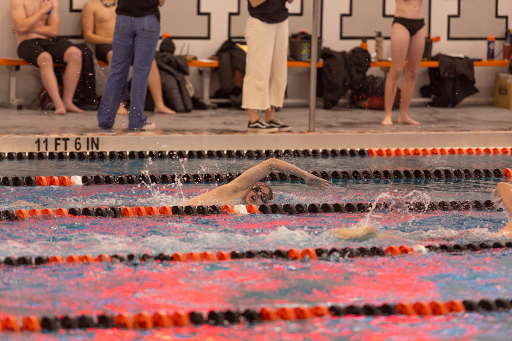 %_tempFileName1M6A6584%