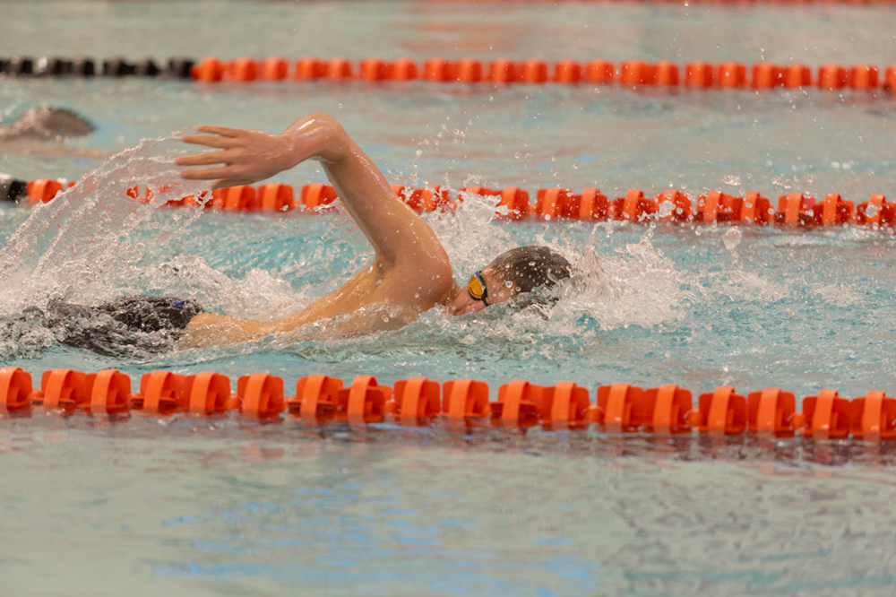 %_tempFileName1M6A6590%