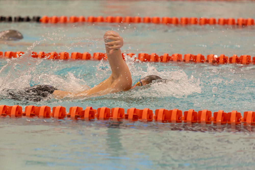 %_tempFileName1M6A6591%