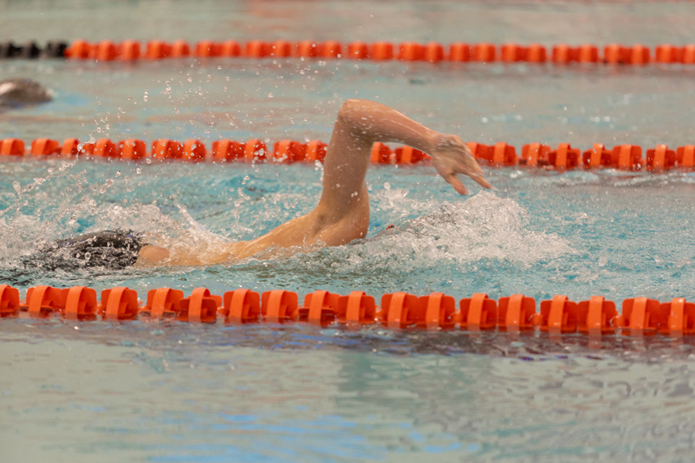 %_tempFileName1M6A6592%