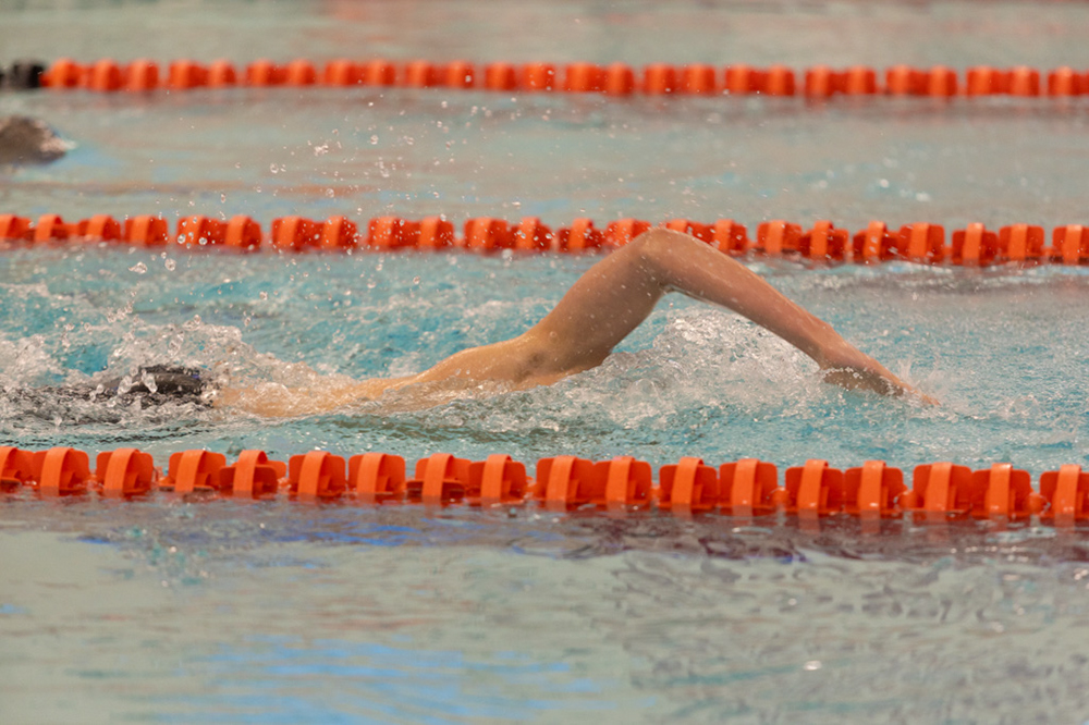 %_tempFileName1M6A6593%