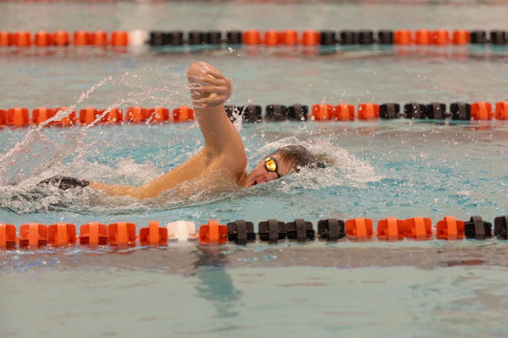 %_tempFileName1M6A6595%