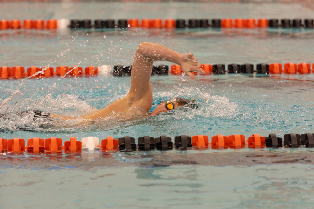 %_tempFileName1M6A6596%