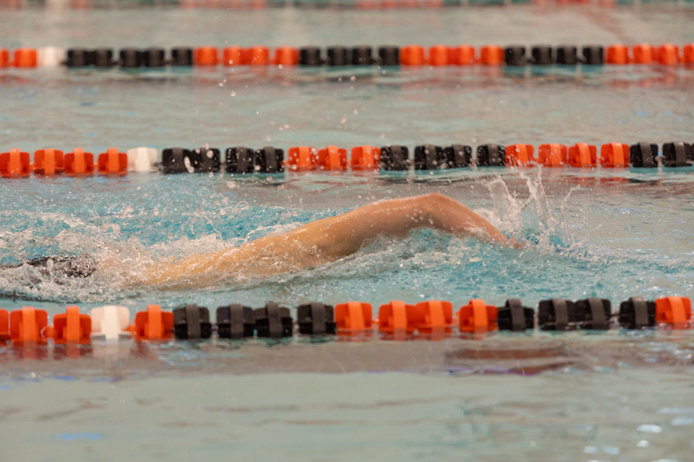 %_tempFileName1M6A6598%