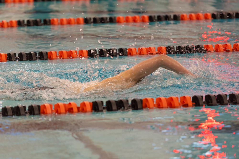 %_tempFileName1M6A6605%