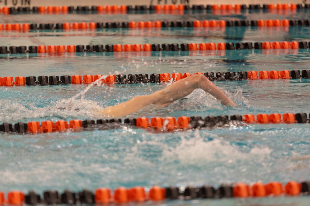 %_tempFileName1M6A6607%