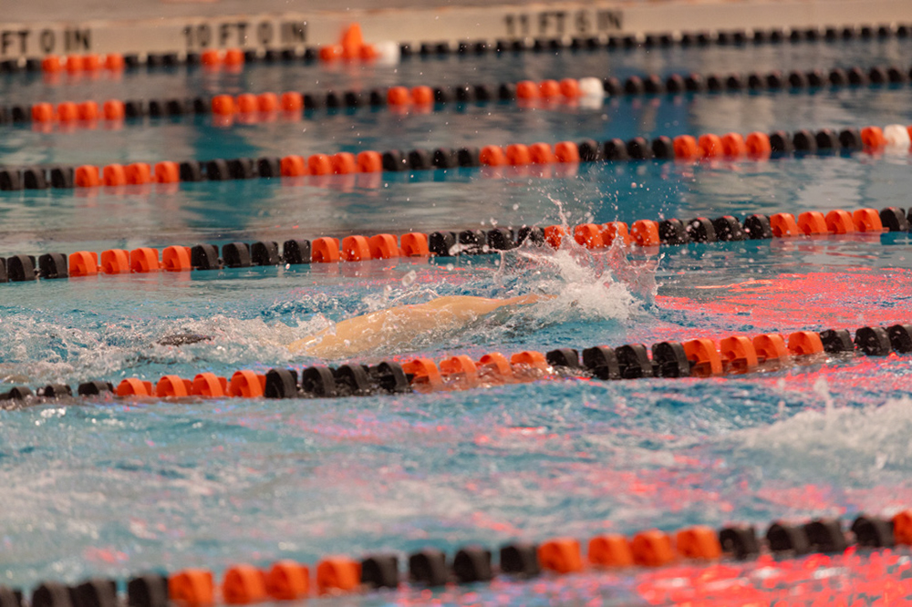 %_tempFileName1M6A6618%