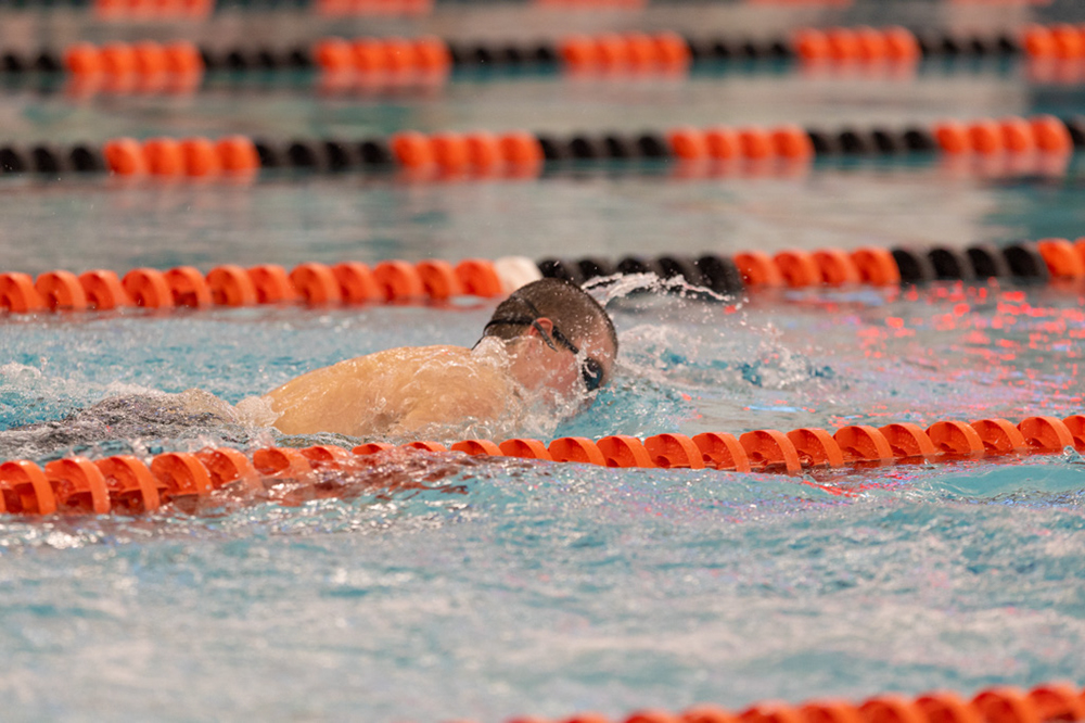 %_tempFileName1M6A6627%