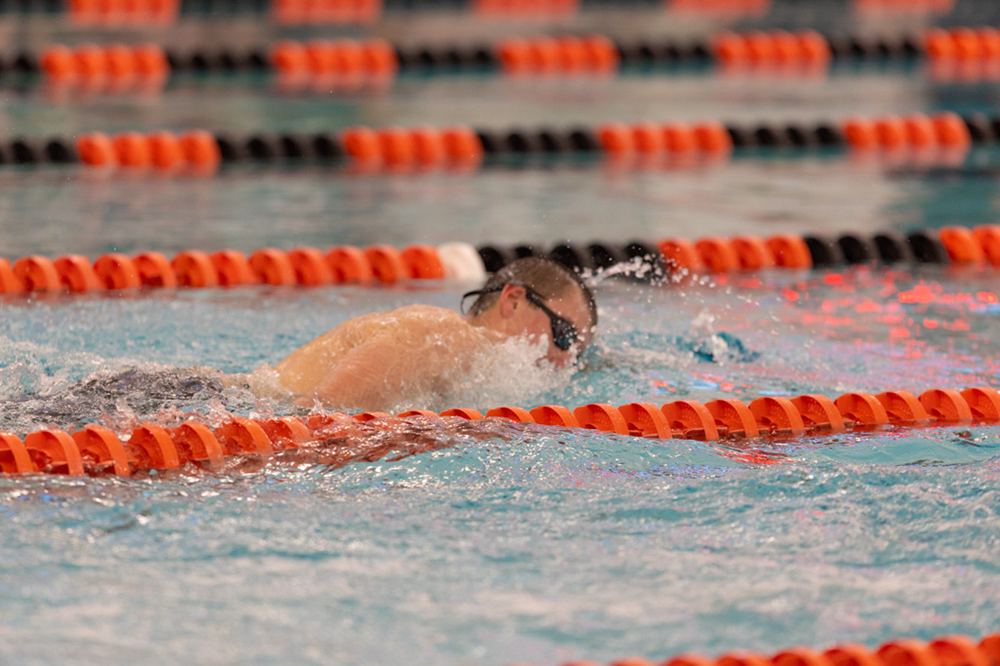 %_tempFileName1M6A6628%