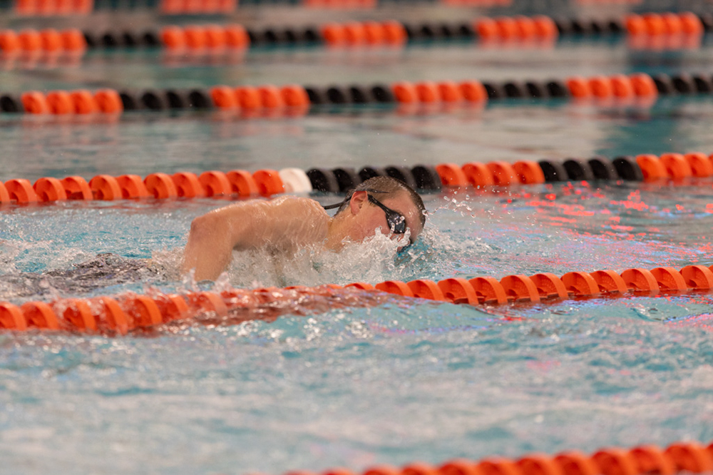 %_tempFileName1M6A6629%