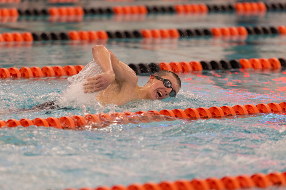 %_tempFileName1M6A6631%