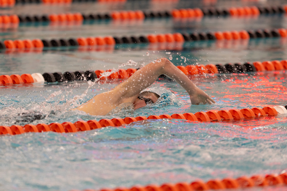 %_tempFileName1M6A6635%