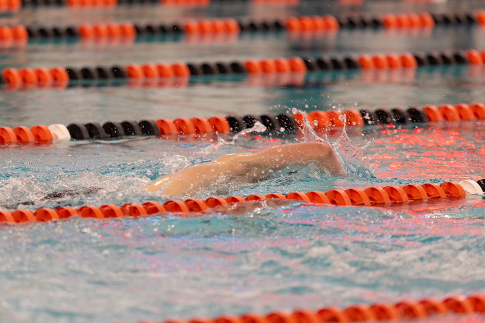 %_tempFileName1M6A6636%