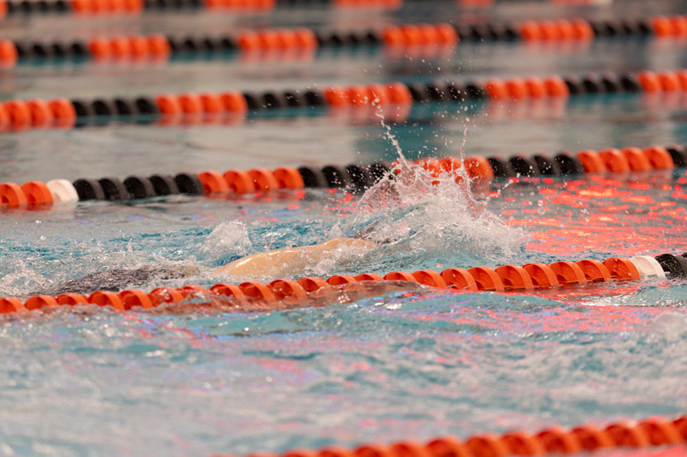 %_tempFileName1M6A6637%