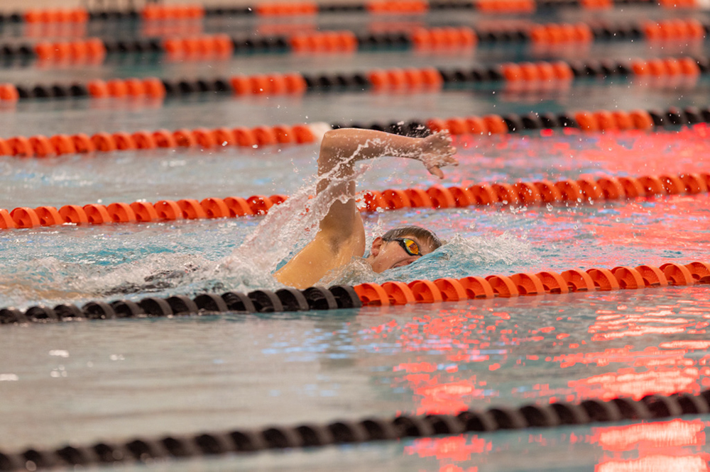 %_tempFileName1M6A6642%