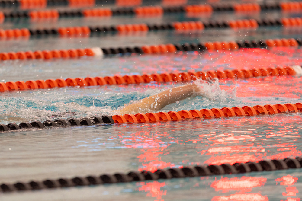 %_tempFileName1M6A6645%