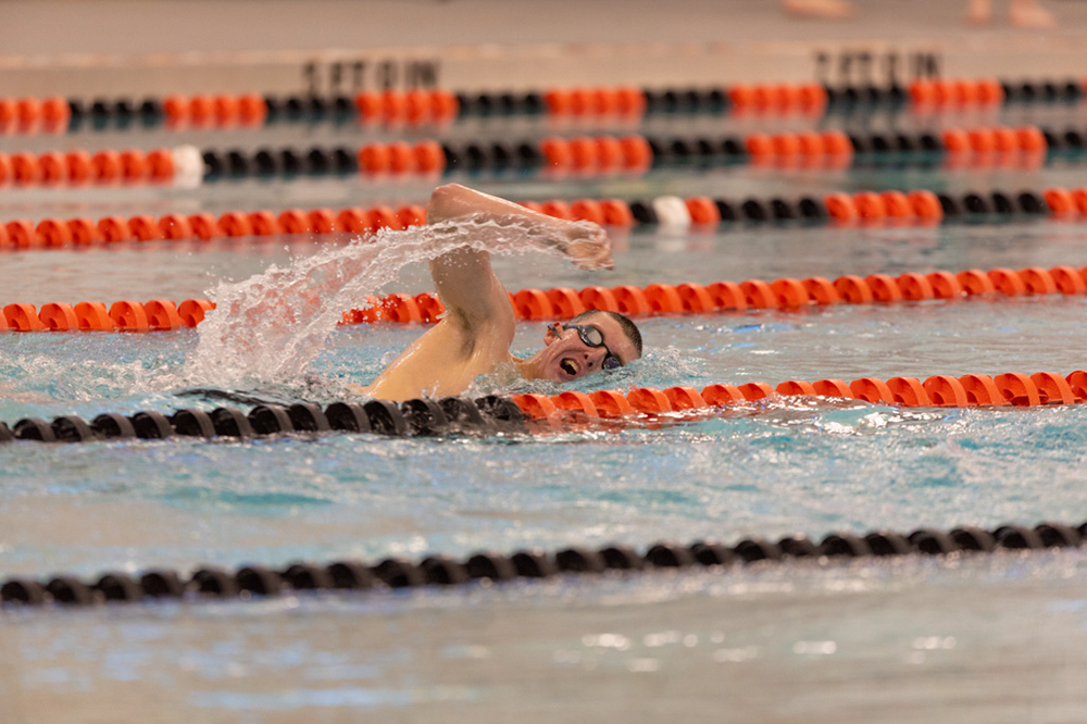 %_tempFileName1M6A6650%